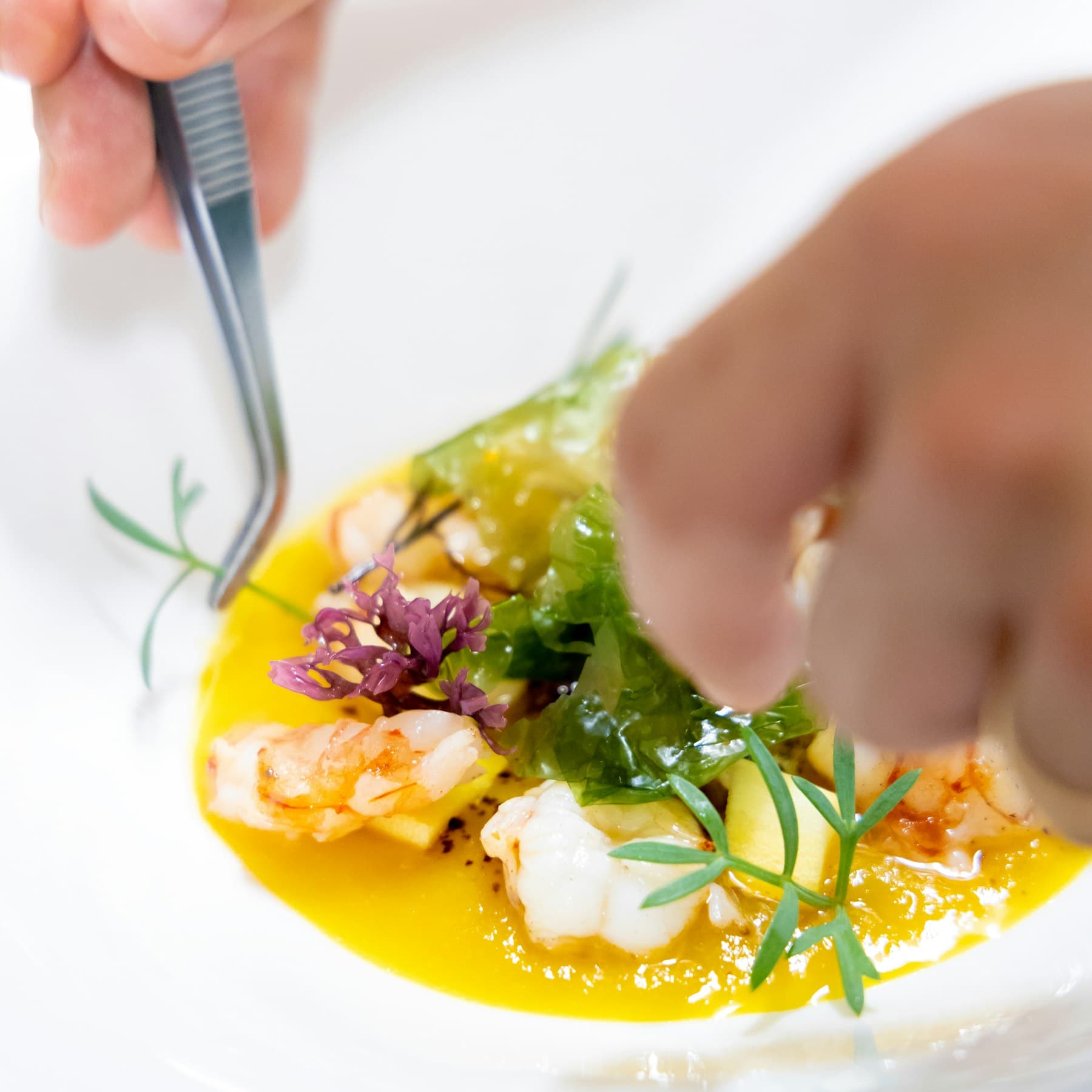 Impiattamento di un piatto gourmet